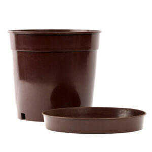 Indoor Plant Pot 25cm